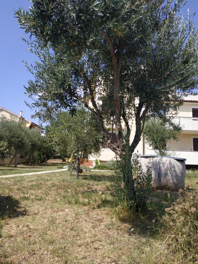 Giovanni Krk Krk Town Buitenkant foto